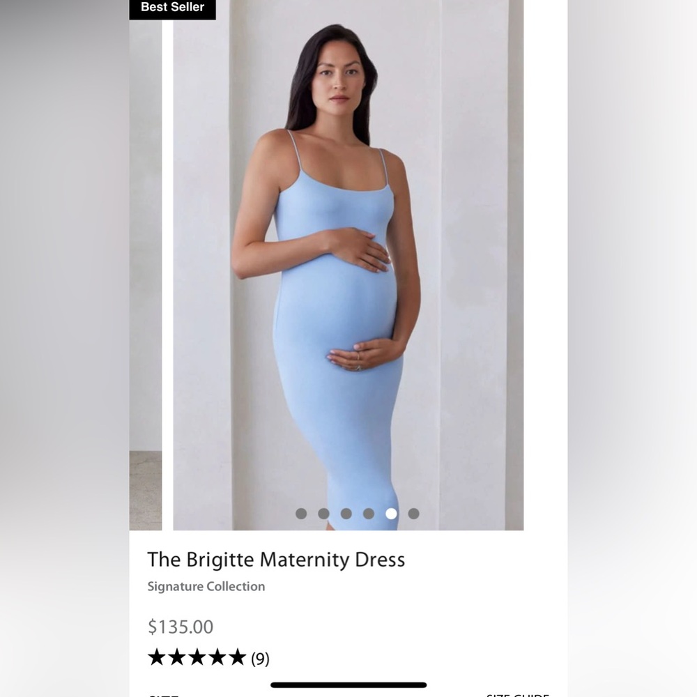 BNWT, The Brigitte Maternity Dress, Bumpsuit, Medium, color Mint
